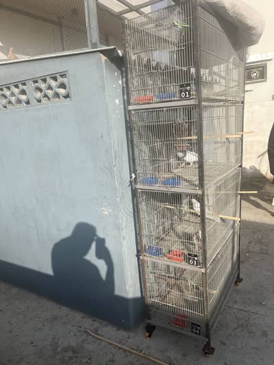 4 portions cage best for parrots