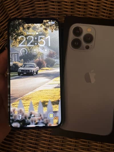 iPhone 13 Pro Max 256Gb