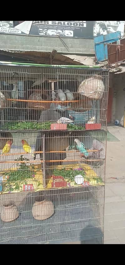 complete pinjre ke Sath