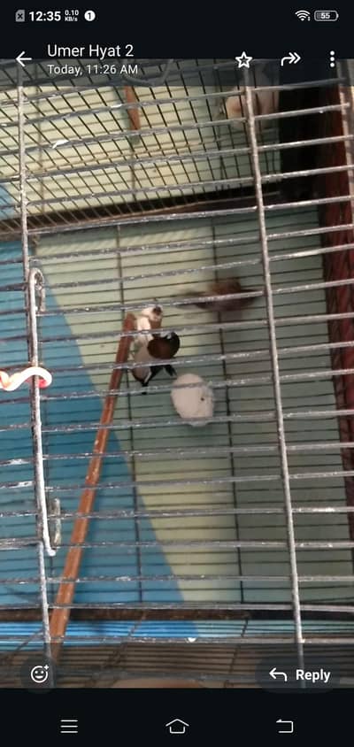 all setup in reasonable price