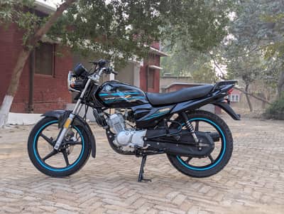 YAMAHA YBZ DX 03313939676