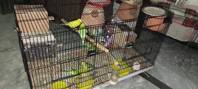 bajri totay hai03074323218