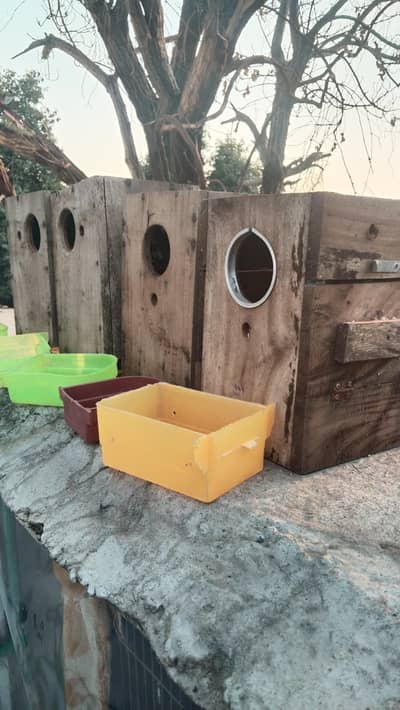 Nest Boxs And Pots