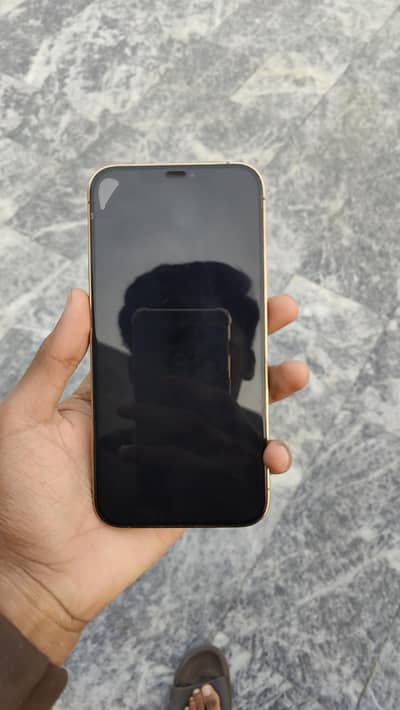 Iphone 12 pro max PTA approved  256 GB