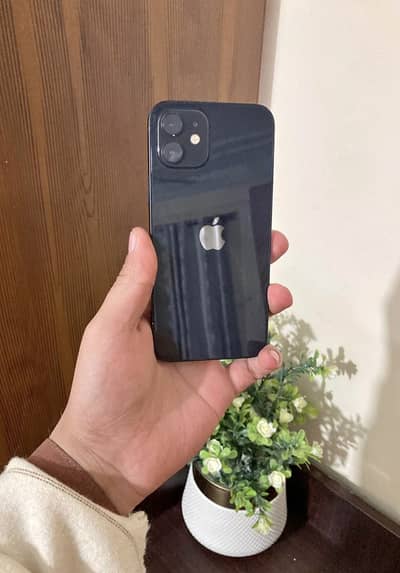 Apple iPhone 12
