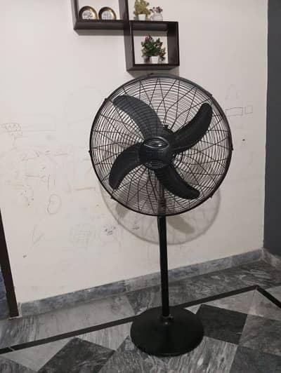 Royan Fans Standing /Pedestal Fan for sale