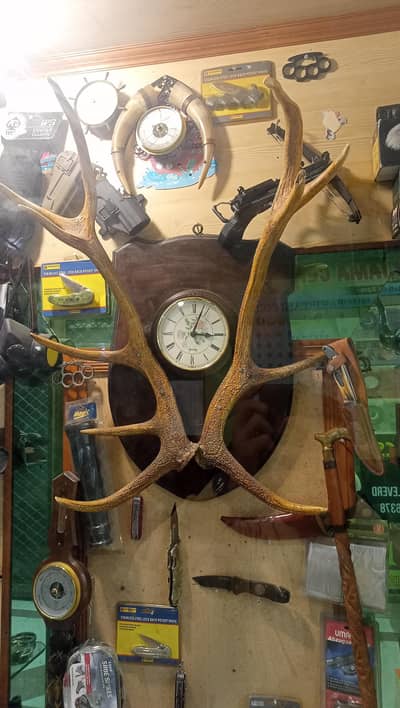 Britain wall clock, Specimens, valori box, and other decor products