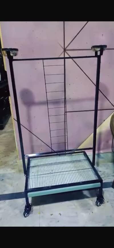 hand tame bird stand