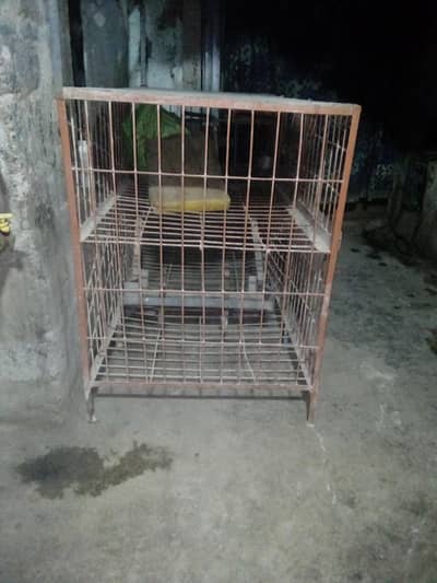 chicken  Lambai 7 fit  Chorai 3 fit Galla sat ma ha