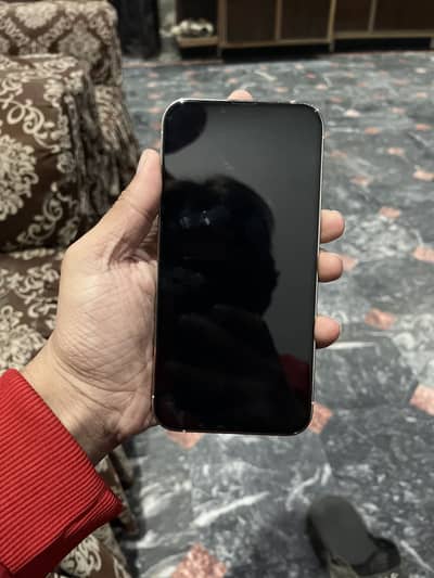 13 pro max PTA Approved