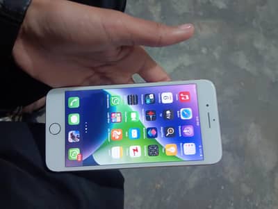 exchange offer 03375715212