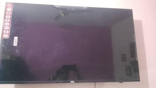 PEL LED 43 INCH