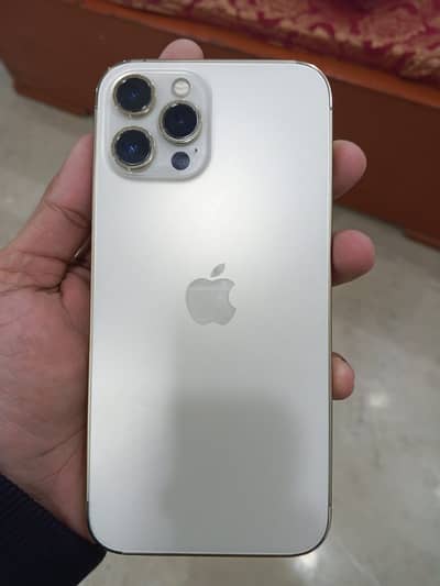 iPhone 12 Pro Max 256GB | PTA Approved | Scratch-Free | Golden Colour