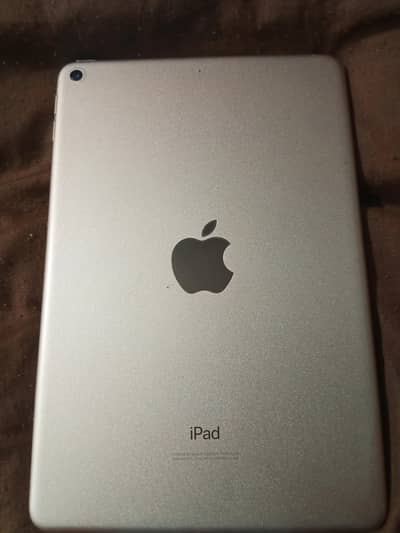 ipad mini 5