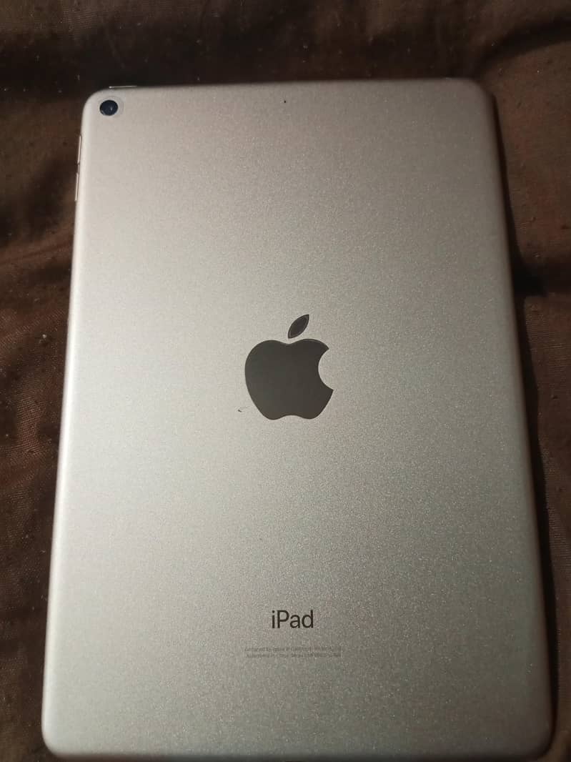 ipad mini 5 0