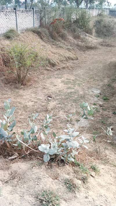 4 Marla resident plot for sale