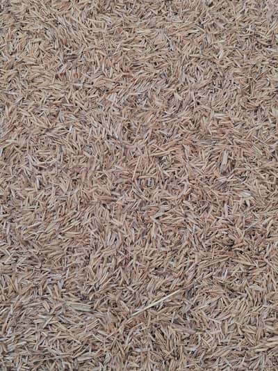 Husk , chawal ka Chilka , tooh