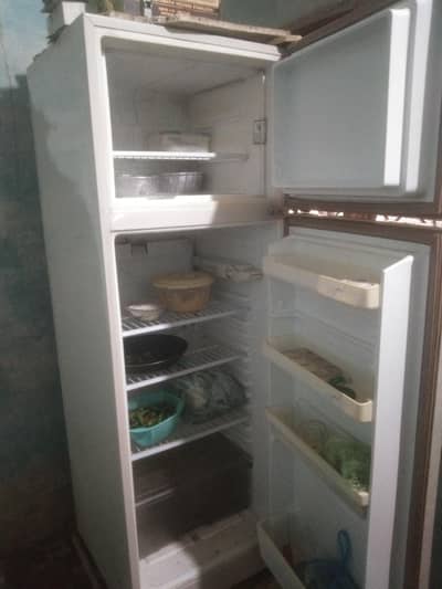 dawnlnce 03423005400