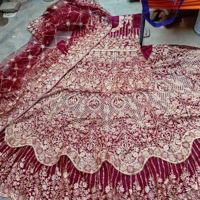 zbrdst bridle lehngy