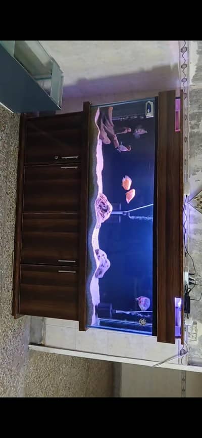 *6 FEET AQUARIUM FOR SALE *