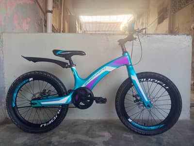 BEIDOUFU Imported Cycle | 20 size | 0320/2257/271