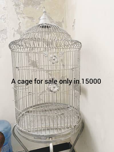 good condition cage for parrots