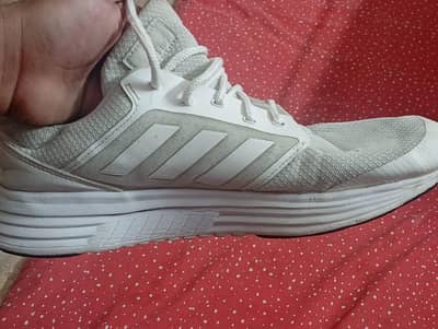 Adidas Premium shoes