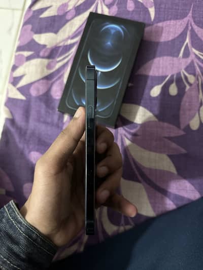 iPhone 12 Pro Pta Approved 256 GB With Box