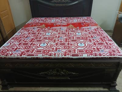 Master Molty FIRM Mattress