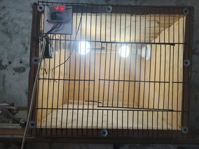 60 egges incubator + chicks heater. 10\10 condition. Ph: 0322-4027069