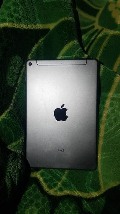 ipad mini5