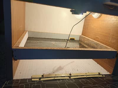 Brand New Egg Incubator for Sale – Never Used (Only 2500 PKR)