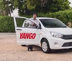 Driver require For yango 0