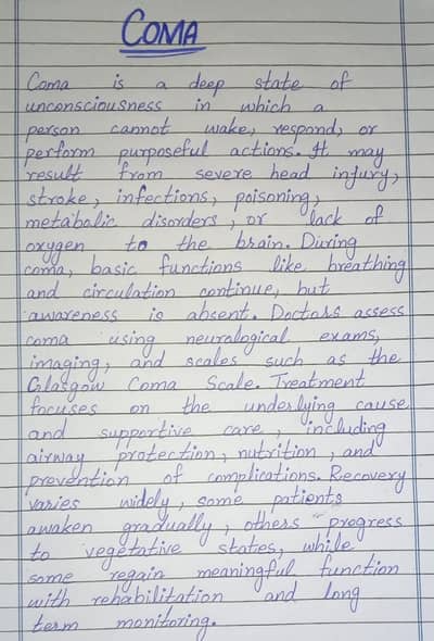 Professional Content Writer | Ideas into Impactful Words