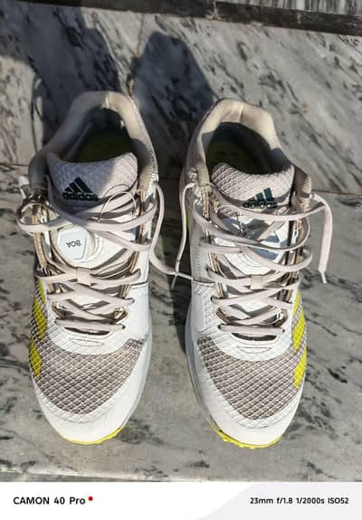 addidas Original spikes