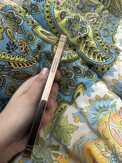 iPhone 12 Pro Pta Approved