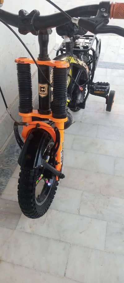 Chicago 12 size cycle