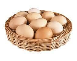 Hen Fertile Eggs