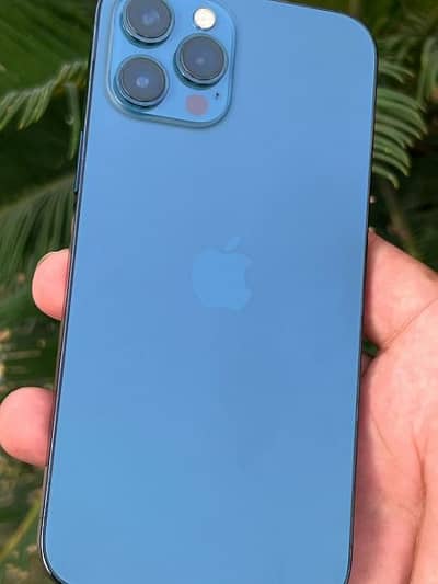 i phone 12 pro max NON pTA