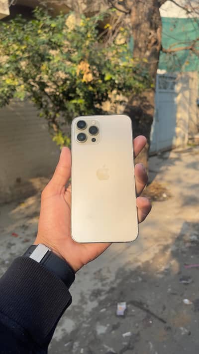 iphone 12 pro max jv