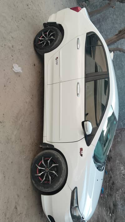 no accident said shawr