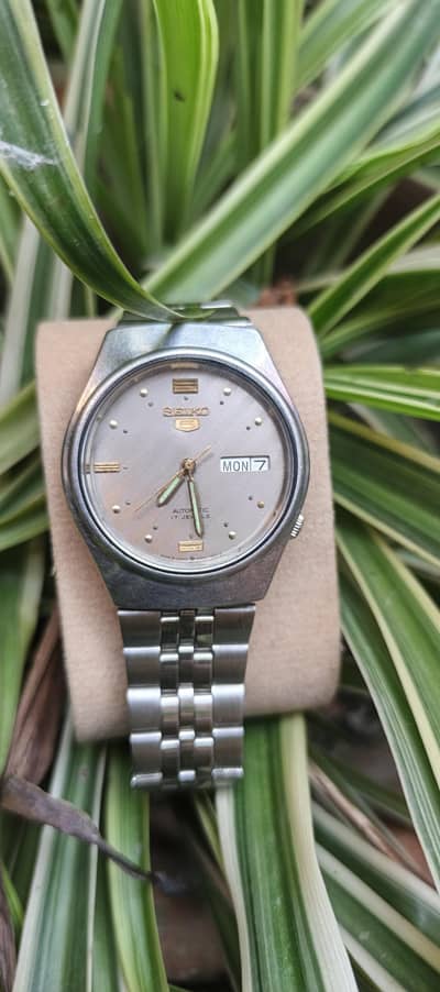 seiko5 automatic|seiko,casio,citizen,rado,rolex,watch,automatic,quatz