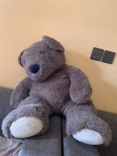 giant bear and baby donut