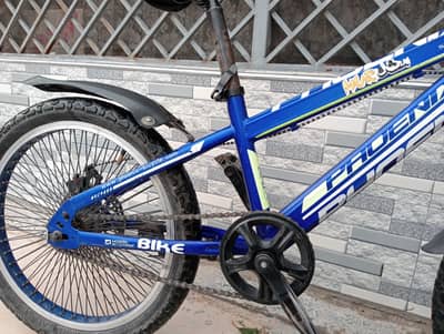 bicycle phoenix with one tyre