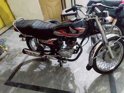 03175716801 whtsaap number