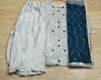 Fancy party wear net suit