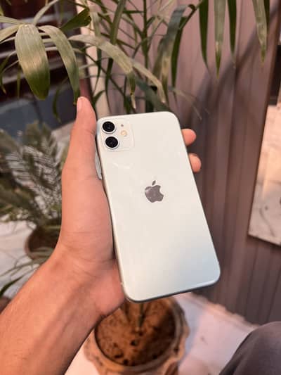 iPhone 11 Pta Approved
