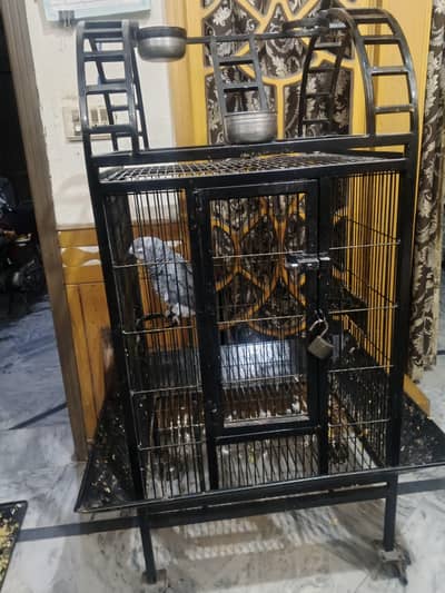 iron cage 10 no wire