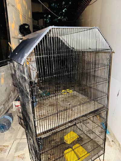 Cage Available In. Good Condition