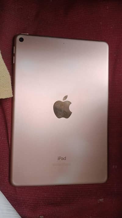 I pad  mini 5 by pass